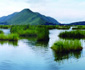 北海湿地：水上草原如诗如画