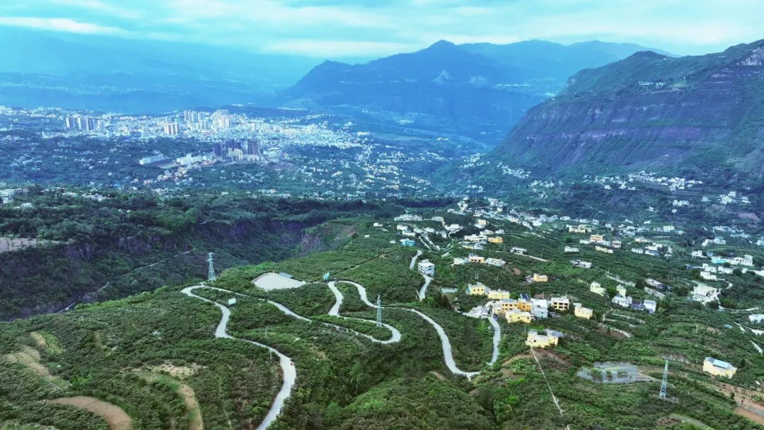 永善枇杷：香飘四溢，醉人心扉