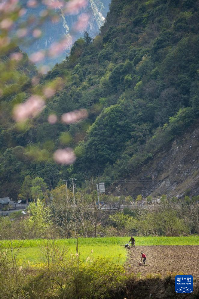 云南怒江：必赢平台高山峡谷 壮美风光新华网(图4)