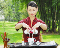 版纳七彩云南茶厂开业庆典