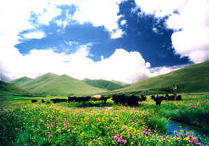 会泽旅游