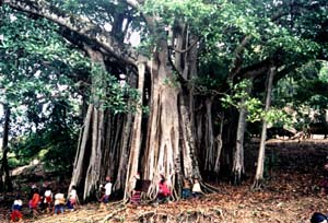 :欣欣向荣的开放口岸--孟连: