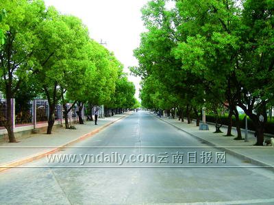 蒙自县政府信息网