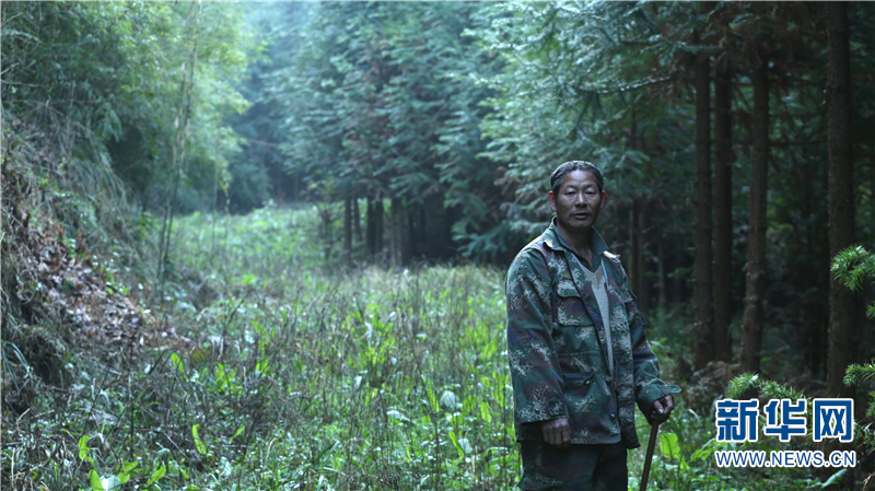 一名生态护林员的14年坚守