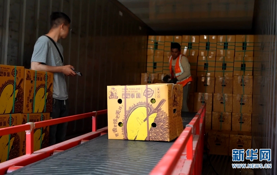 完美电竞运输进口水果破万吨！中老铁路助力实现“热带水果自由”