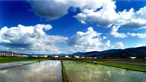 [中国梦·云南故事]图片展示:山水田园一幅画