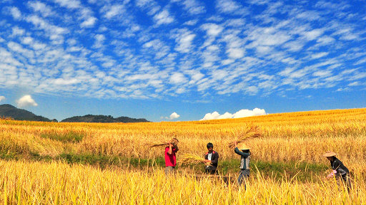 滋补美颜:黄豆也是美颜圣品 3招妙用黄豆