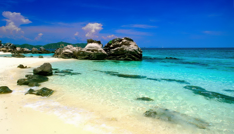 四季的味道·夏天的颜色