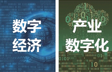 【“数字云南”观察】探索政务、民生等领域数据保护与共享