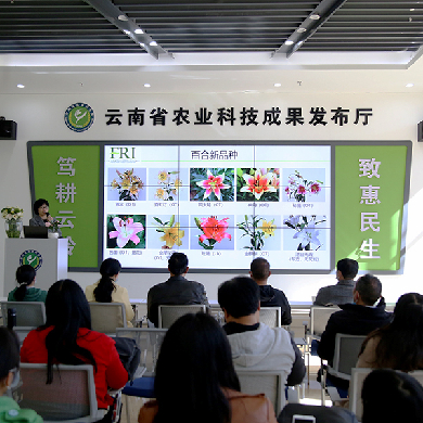 5种新技术，22个新品种 技术创新推动云南花卉产业持续发展