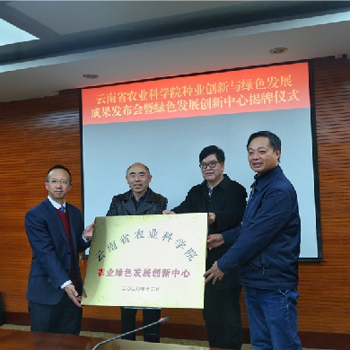 “十三五”以来云南省农业科学院95个粮经作物新品种入选云南省主导品种