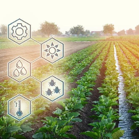 云南省农科院科技创新助推农业产业绿色发展