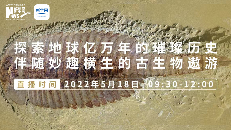 【直播】雲南省“5·18國際博物館日”主會場係列宣傳活動啟動儀式