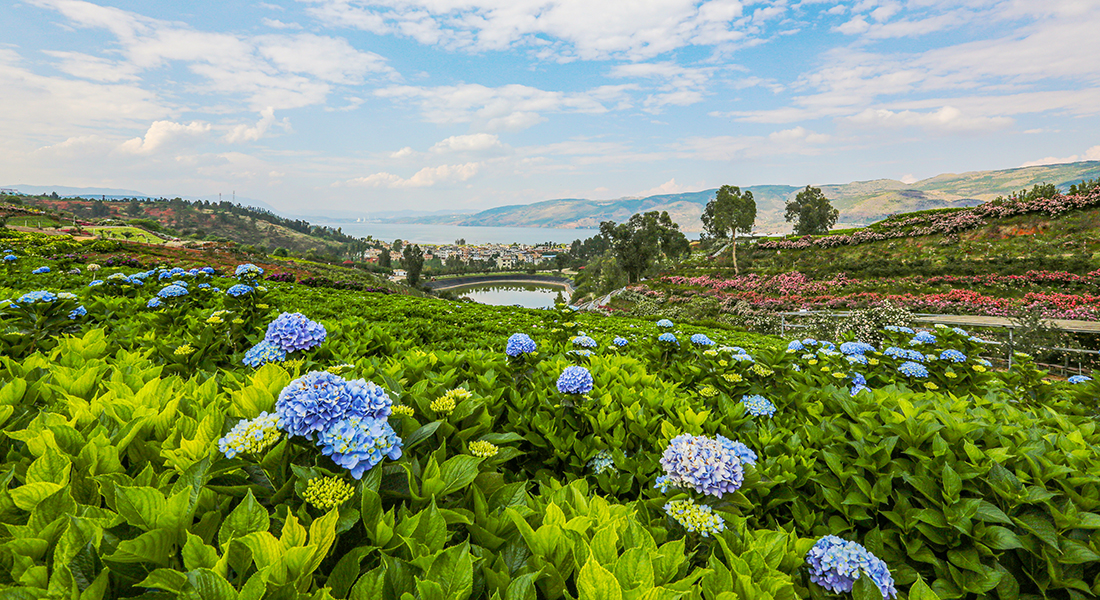 陽宗海南國山花景觀