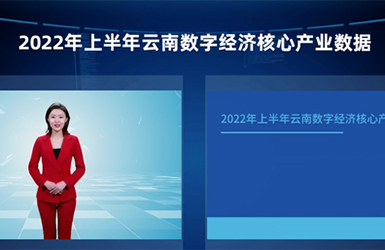 上半年云南省数字经济核心产业营收达1163.02亿元 这些看点不容错过