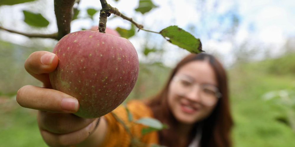 乡村振兴在行动｜云南禄劝：农旅融合跑出乡村振兴“加速度”