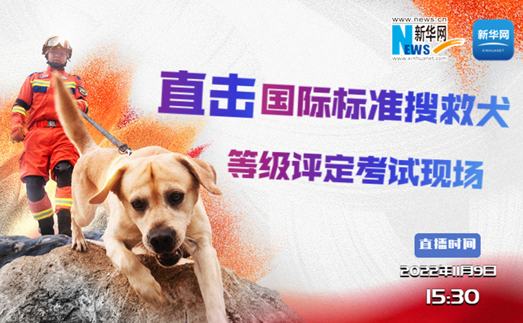 【新华云直播】直击国际标准搜救犬等级评定考试现场