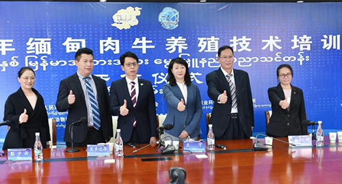 云南启动2022年对缅肉牛养殖技术培训