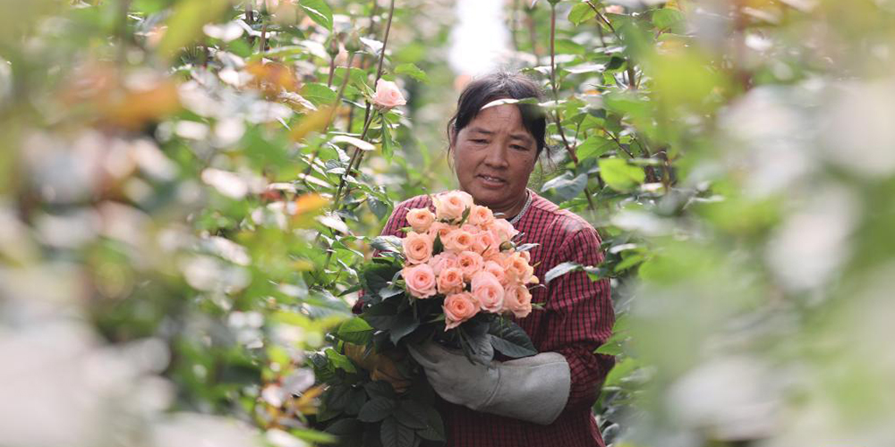 鮮花産業助振興