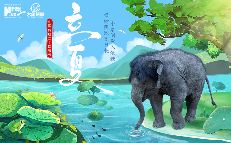 轉眼立夏 和亞洲象一起迎接夏天