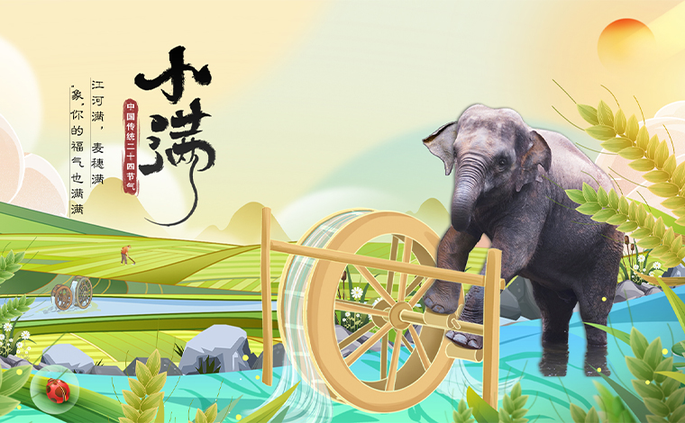 和福氣小象“羊妞”一起迎接小滿