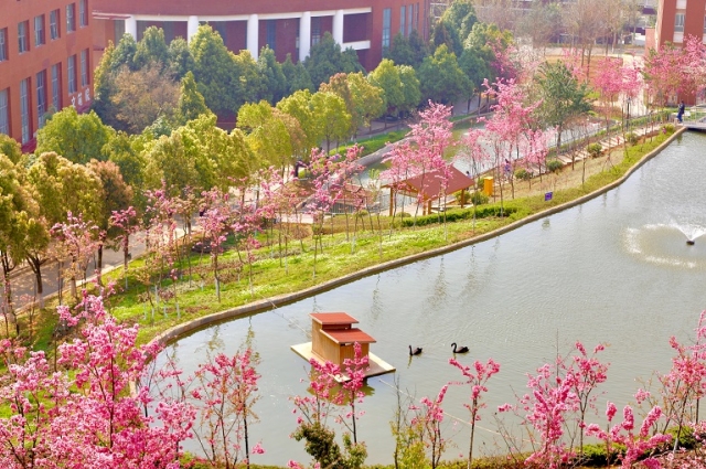 请介绍下云南大学滇池学院的基本情况？