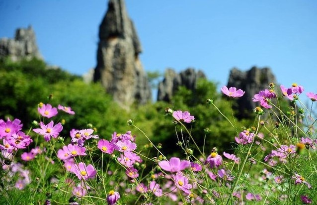 新华网云南频道:精彩旅图: