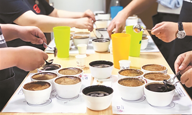 第七届云南咖啡生豆大赛暨第十届普洱咖啡生豆大赛6月开幕