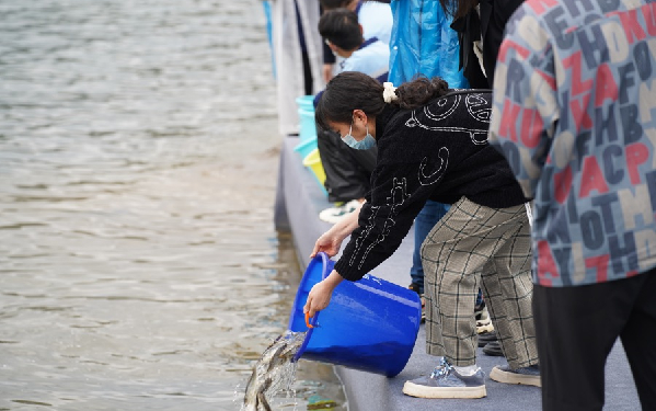昆明阳宗海风景名胜区放流鱼苗115万尾