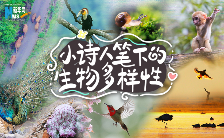 創意海報｜小詩人筆下的生物多樣性