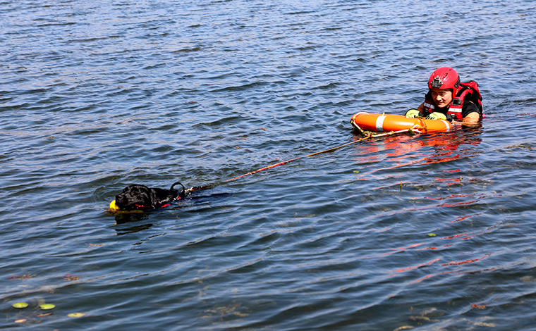 “火焰藍”開展水域救援訓練 搜救犬勇救“落水者”