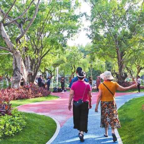 普洱市思茅区：推窗见绿 出门进园