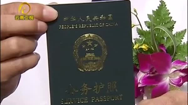 [云南网视]戴秉国接见山口壮 抛橄榄枝收野田亲