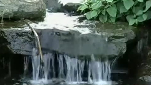 社会养老保险缴费不如存银行获复利划算?