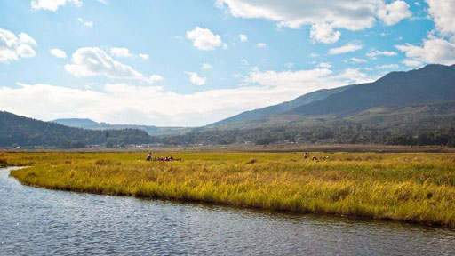 新华网云南频道:新闻中心: