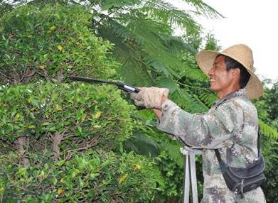 新华网云南频道开远分频道
