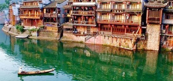 冬季到云南来看花[组图]图片