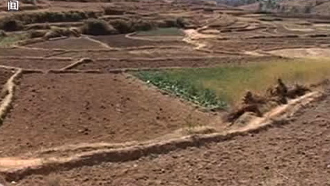 李天一轮奸案细节曝光 恐吓后轮奸