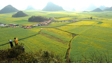 七星彩出2注500万头奖 奖池金为673.4万