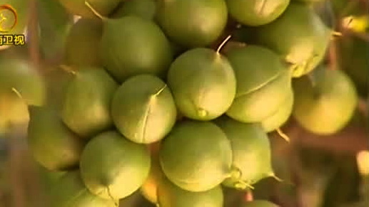 安宁市温泉天下第一汤干涸见底