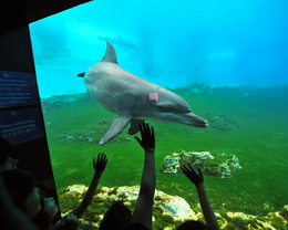 缅甸提高经济增长目标