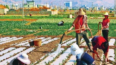 高中生考试用手机被没收不堪压力跳楼瘫痪