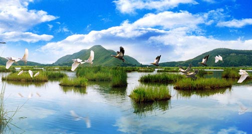 腾冲北海湿地 水上草原 如诗如画