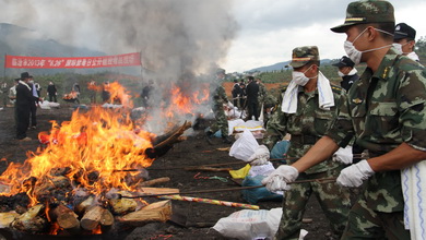 昆三中一本上线率87.47%