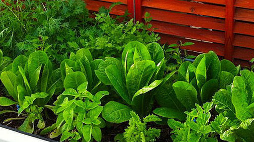 2013房价走势揭秘今年买房千万别犯的失误