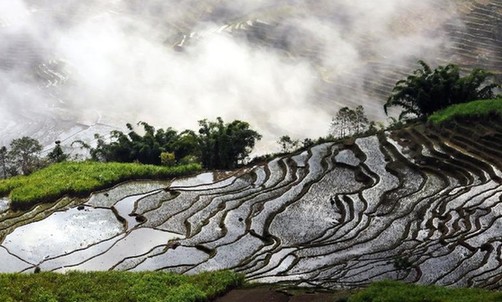 矿老板自称遭到绑架被打成重伤 警方介入调查