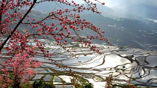 云蒸霞蔚 气象万千