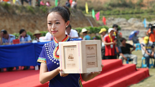 [新华专题]中国云县第十届澜沧江啤酒狂欢节