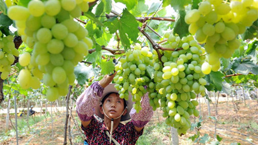 米兰达-可儿代言茶具 首谈儿子弗林表爱意