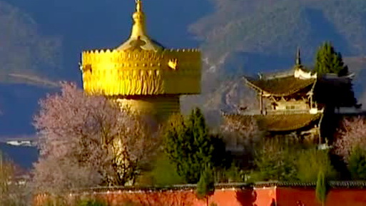 Selina演讲自揭伤疤 Selina烧伤事件回顾